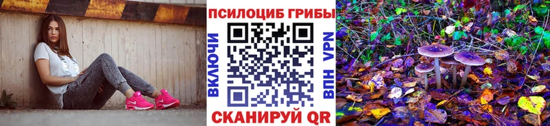 OMG зеркало  Покров  Галлюциногенные грибы мухоморы  хочу наркоту 